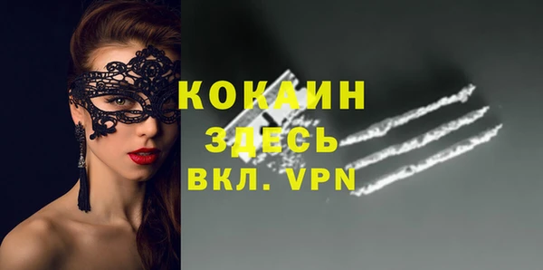 дурь Арсеньев