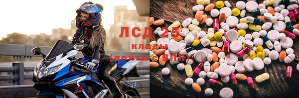 дживик Алзамай