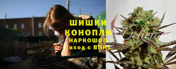 дурь Арсеньев