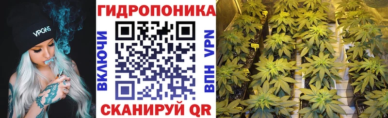 где купить наркоту  Могоча  МАРИХУАНА индика 